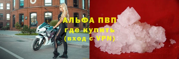СК Арсеньев