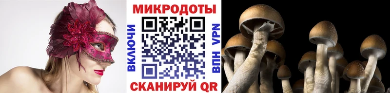 Псилоцибиновые грибы прущие грибы  Коломна 