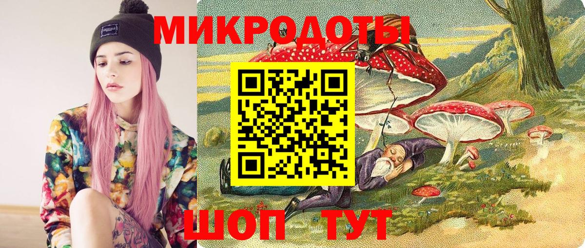Галлюциногенные грибы Psilocybe Коломна